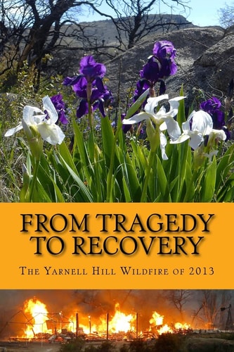 From Tragedy to Recovery 1--B&W The Yarnell Hill Wildfire Of 2013