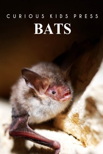 Bats - Curious Kids Press