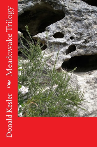 Meadowake Trilogy The Loss of the Kingdom of Meadowake and the Fight to Regain the Kingdom