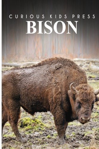 Bison - Curious Kids Press
