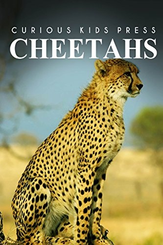 Cheetah - Curious Kids Press