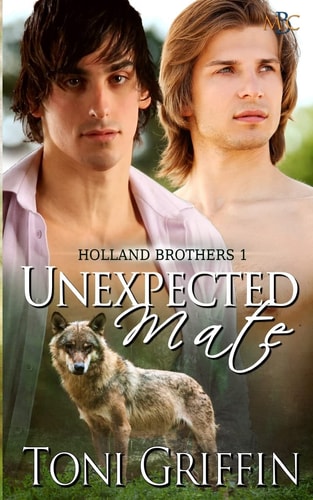 Unexpected Mate Holland Brothers 1