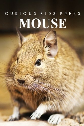 Mouse - Curious Kids Press