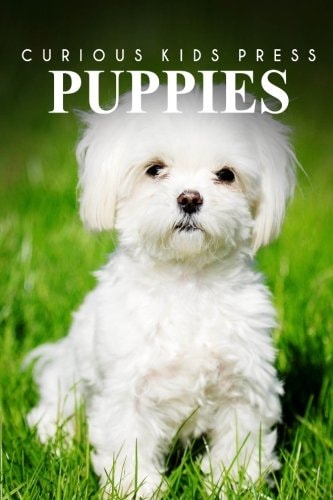 Puppies - Curious Kids Press