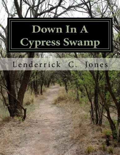 Down In A Cypress Swamp