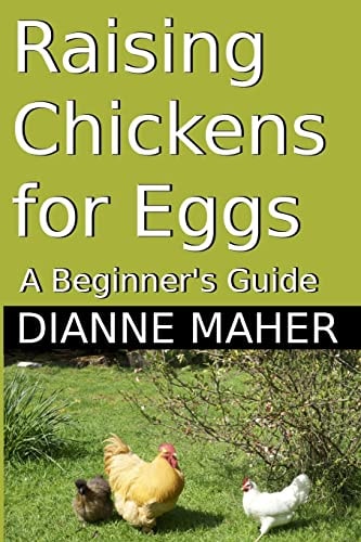 Raising Chickens for Eggs A Beginner's Guide
