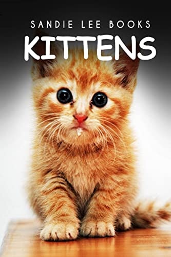 Kittens - Sandie Lee Books