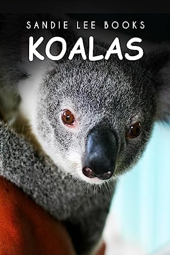 Koalas - Sandie Lee Books