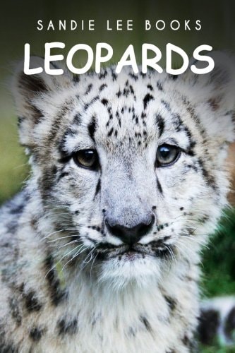 Leopards - Sandie Lee Books