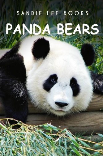 PandaBears - Sandie Lee Books