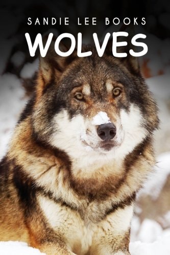 Wolves - Sandie Lee Books