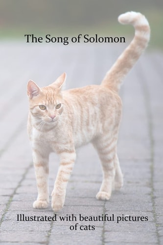 The Song of Solomon Illustrated with Beautiful Pictures of Cats