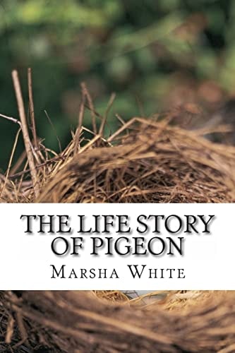 The Life Story of Pigeon Moving from Trees to Windows, a Side-Effect of Deforestation