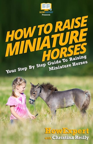 How To Raise Miniature Horses Your Step-By-Step Guide To Raising Miniature Horses