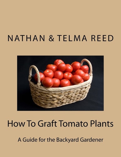 How To Graft Tomato Plants A Guide for the Backyard Gardener