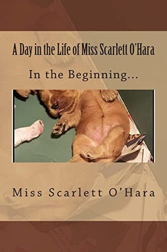 A Day in the Life of Miss Scarlett O'Hara In the Beginning
