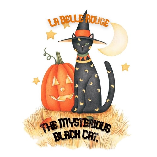 The Mysterious Black Cat A Halloween Story