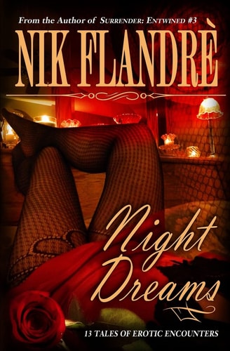 Night Dreams 13 Tales of Erotic Encounters