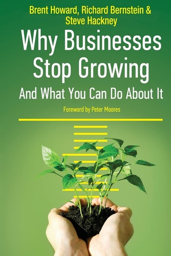 Why Businesses Stop Growing & What You Can Do About It