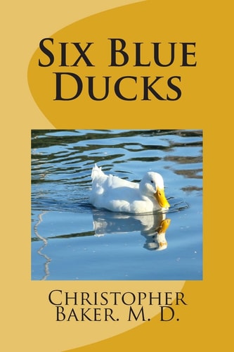 Six Blue Ducks None
