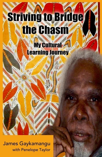 Striving to Bridge the Chasm My Cultural Learning Journey