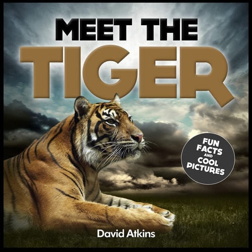 Meet the Tiger Fun Facts and Cool Pictures
