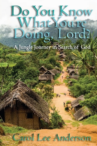 Do You Know What You Are Doing, Lord? A Jungle Journey in Search of God