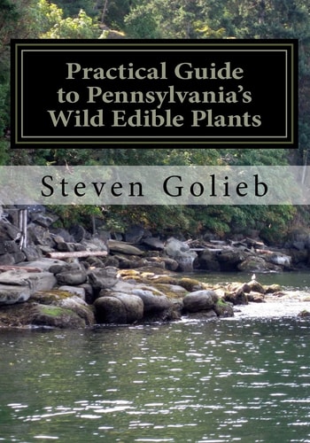 Practical Guide to Pennsylvania's Wild Edible Plants A Survival Handbook