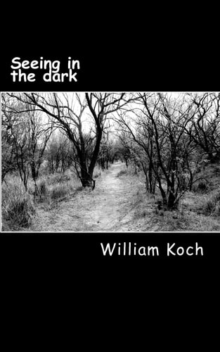 Seeing in the Dark The Secrets to Personal Power, Spiritual Success and Eternal Victory