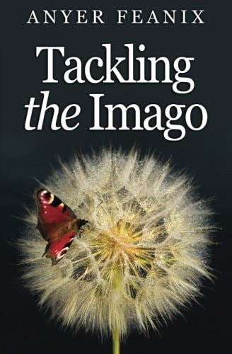 Tackling the Imago