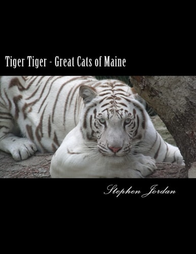 Tiger Tiger - Great Cats of Maine D. E. W. Animal Kingdom Resident Tigers