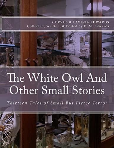 The White Owl And Other Small Stories Thirteen Tales of Small But Fierce Terror