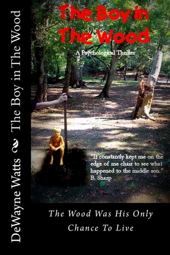 The Boy in The Wood