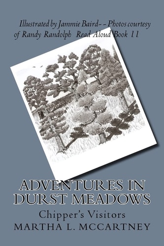 Adventures In Durst Meadows Chipper's Visitors
