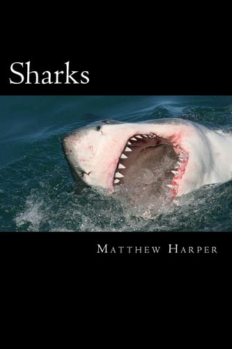 Sharks A Fascinating Book Containing Shark Facts, Trivia, Images and Memory Recall Quiz: Suitable for Adults and Children