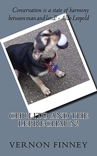 Cholito Descendant of the Techichi!