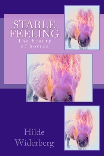 Stable Feeling The Beauty of Horses