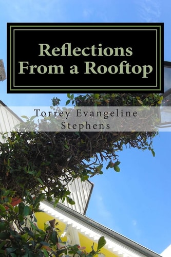Reflections From a Rooftop A New Orleans Collection