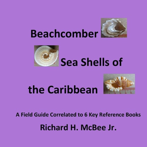 Beachcomber Seashells of the Caribbean A Field Guide, Correlated to 6 Key Reference Books.