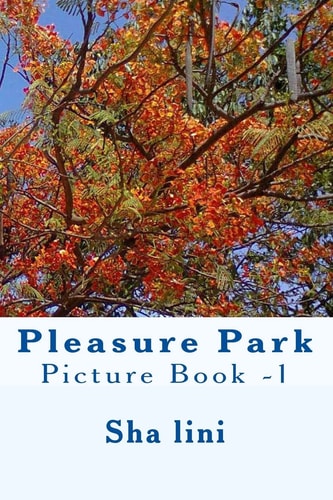 Pleasure Park Picture Book -1