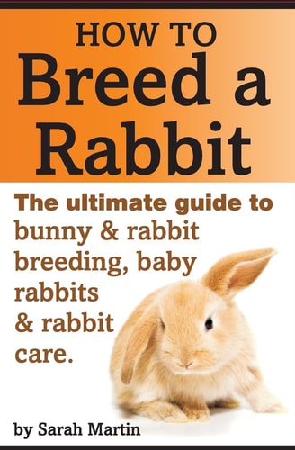 How to Breed a Rabbit The Ultimate Guide to Bunny and Rabbit Breeding, Baby Rabbits and Rabbit Care