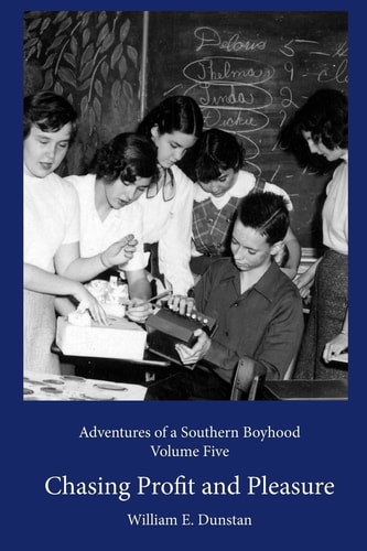 Chasing Profit and Pleasure (Adventures of a Southern Boyhood, Volume 5)