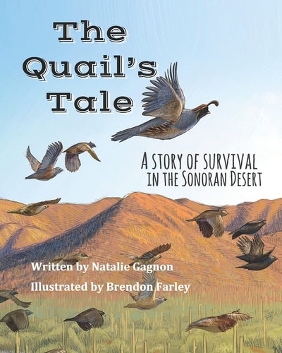 The Quail's Tale A Story of Survival in the Sonoran Desert