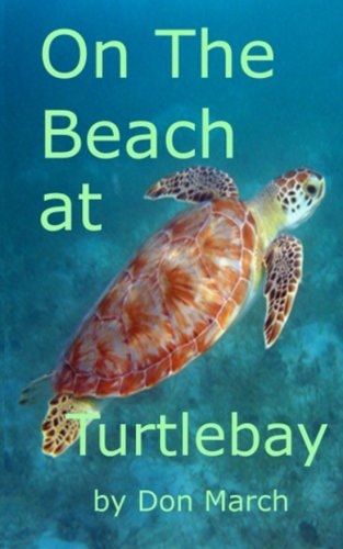 On the Beach at Turtlebay