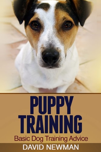 Puppy Training Basic Dog Training Advice