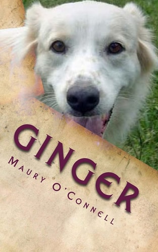 Ginger Little Dog, Big Trouble