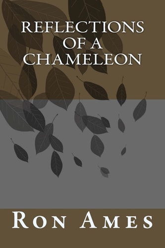 Reflections of a Chameleon