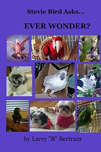 Stevie Bird Asks Ever Wonder?