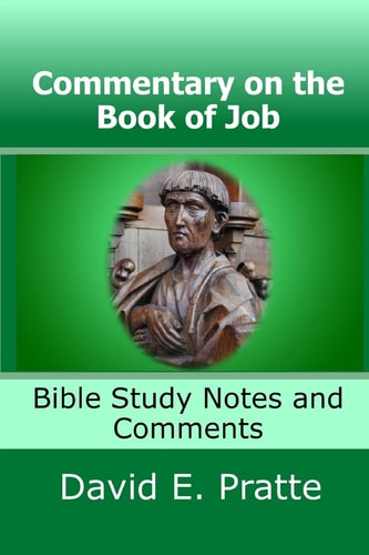 Commentary on the Book of Job Bible Study Notes and Comments