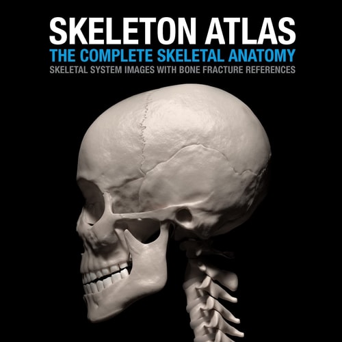 Skeleton Atlas The Complete Skeletal Anatomy: Skeletal System Images with Bone Fracture References